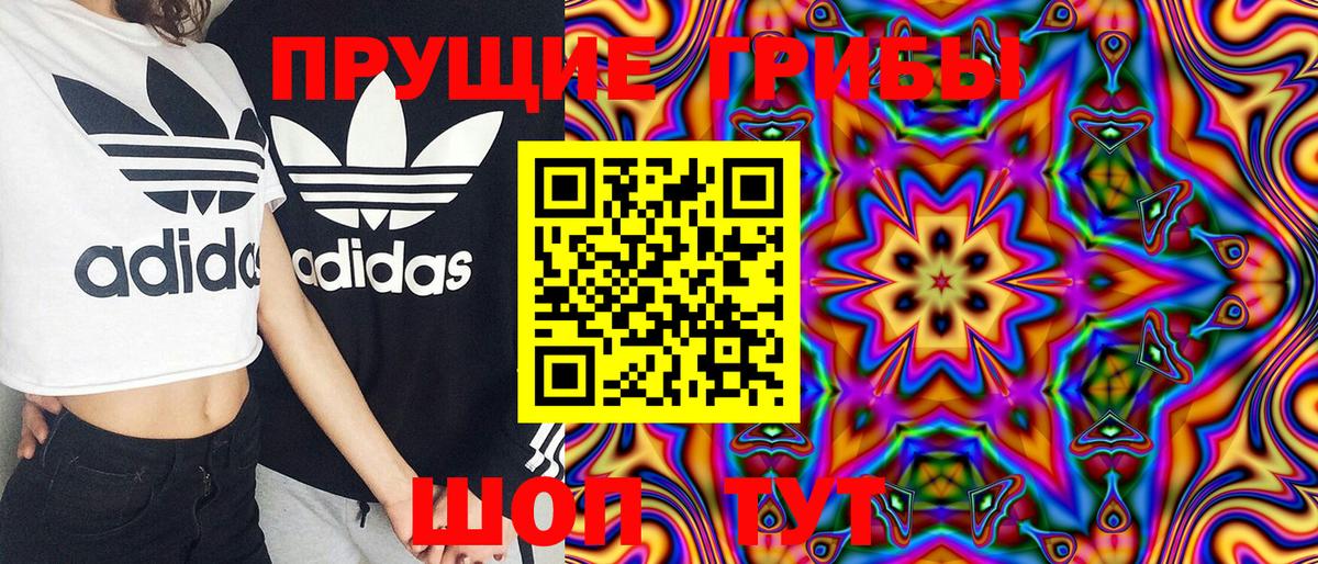 Краснодар  Галлюциногенные грибы Cubensis  Вход с VPN 